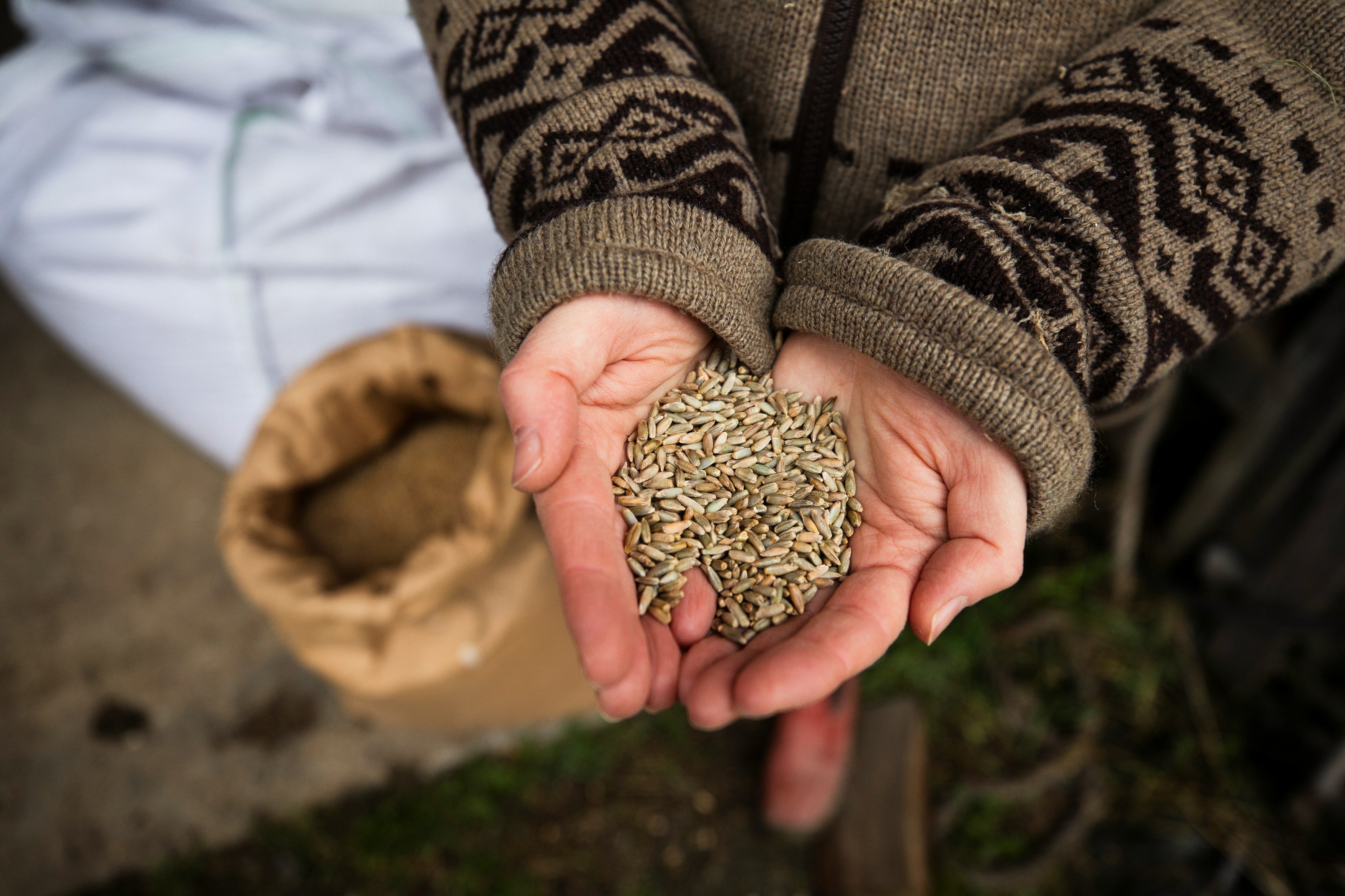 Healthy Crops